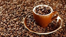 28/11: Giá cà phê Tây Nguyên giảm nhẹ xuống 40,6-41,2 triệu đồng/tấn