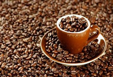28/11: Giá cà phê Tây Nguyên giảm nhẹ xuống 40,6-41,2 triệu đồng/tấn