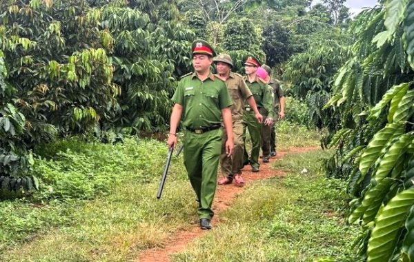 dan phòng bảo vệ cà phê